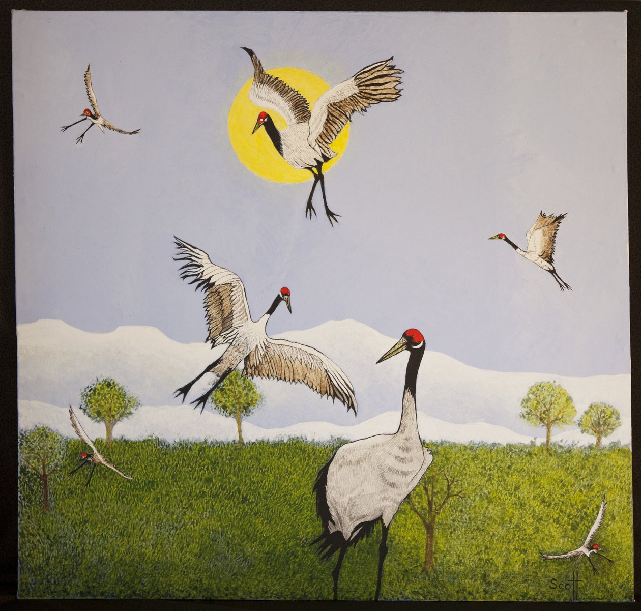 Heralds Of Spring, 2016 tekijältä Pat Scott