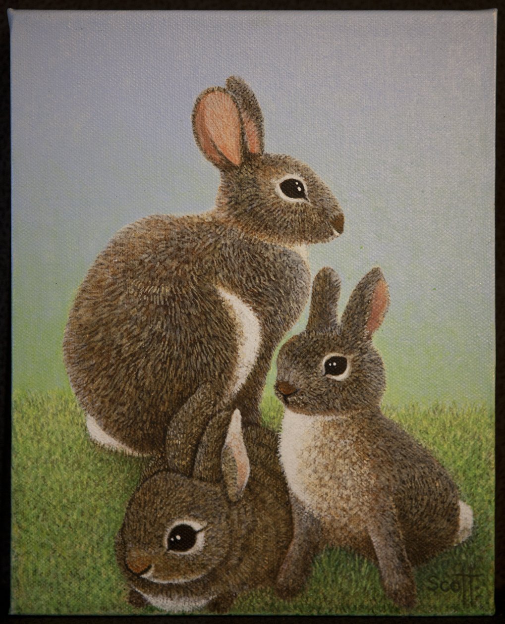 Rabbit Family, 2016 tekijältä Pat Scott