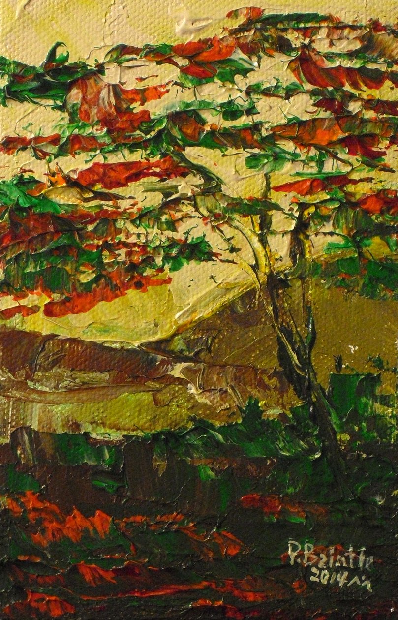 Flamboyant en fleur, 2014 (akryyli kankaalle) tekijältä Patricia Brintle