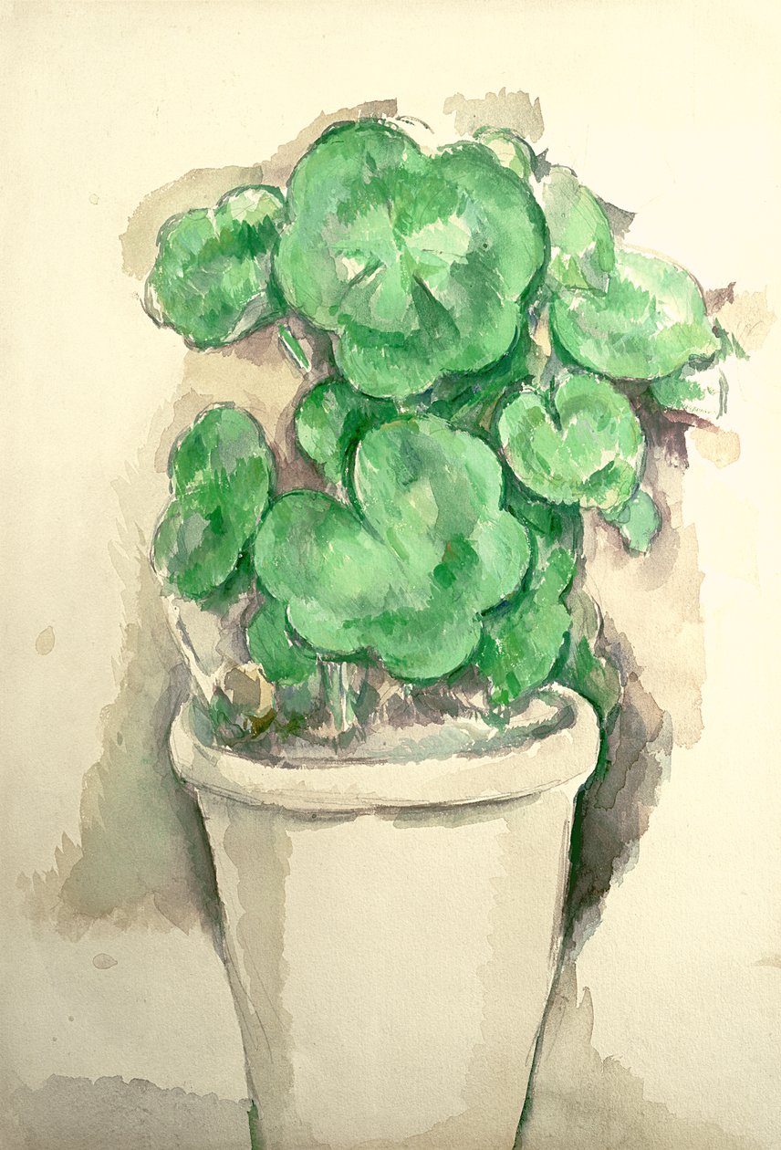 Geraniums-ruukku, n. 1885 (kynä ja wc paperilla) tekijältä Paul Cézanne