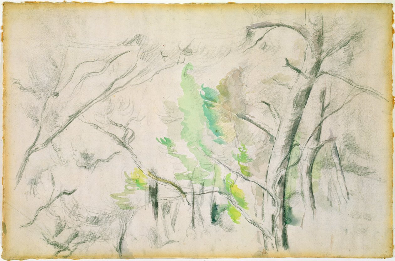 Woodside (wc paperilla) tekijältä Paul Cézanne