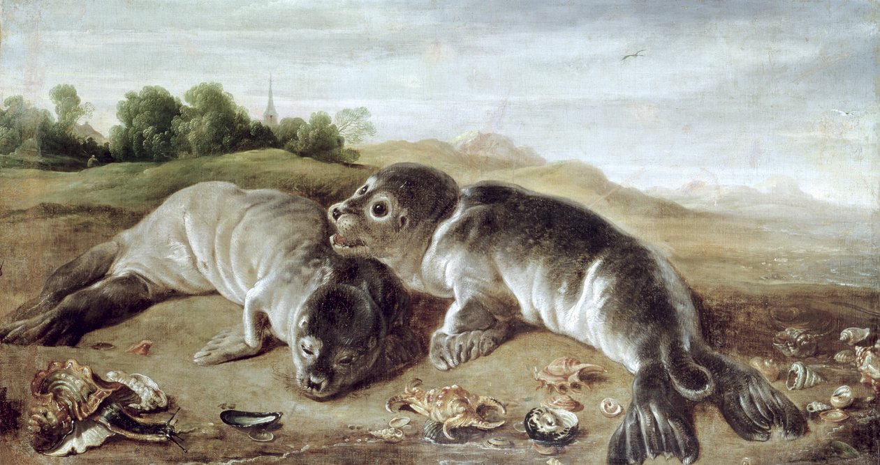 Kaksi nuorta hyljettä rannalla, noin 1650 tekijältä Paul De Vos