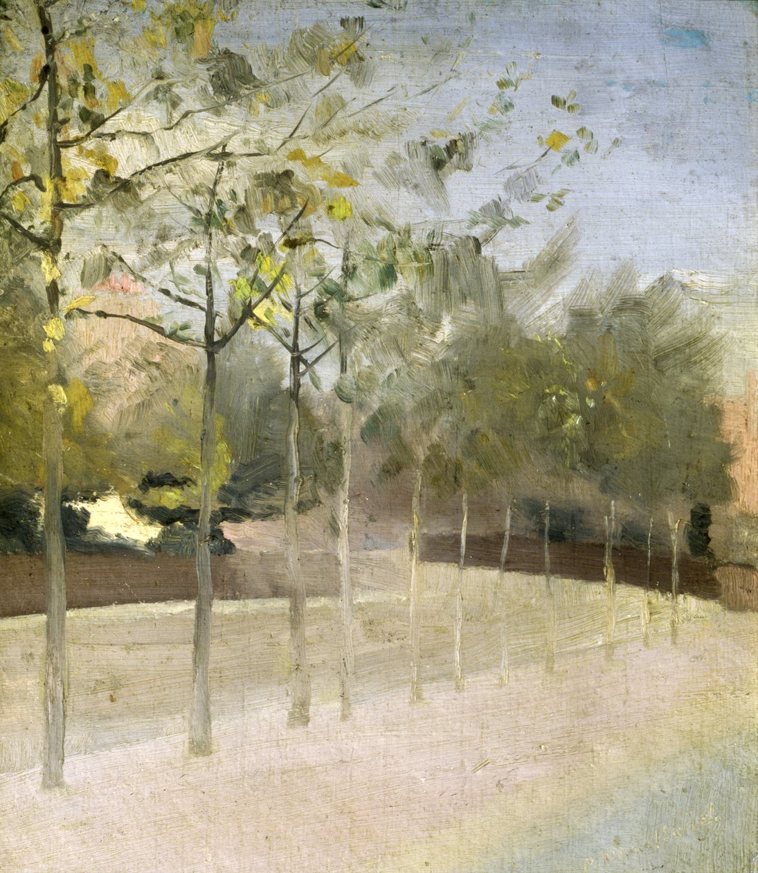 Chelsea Embankment, Plane Trees, 1908 tekijältä Paul Fordyce Maitland