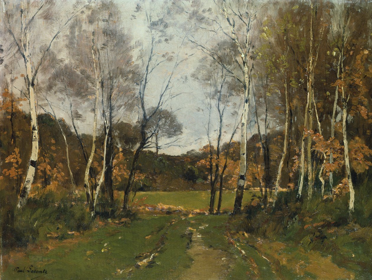Metsäinen maisema tekijältä Paul Lecomte