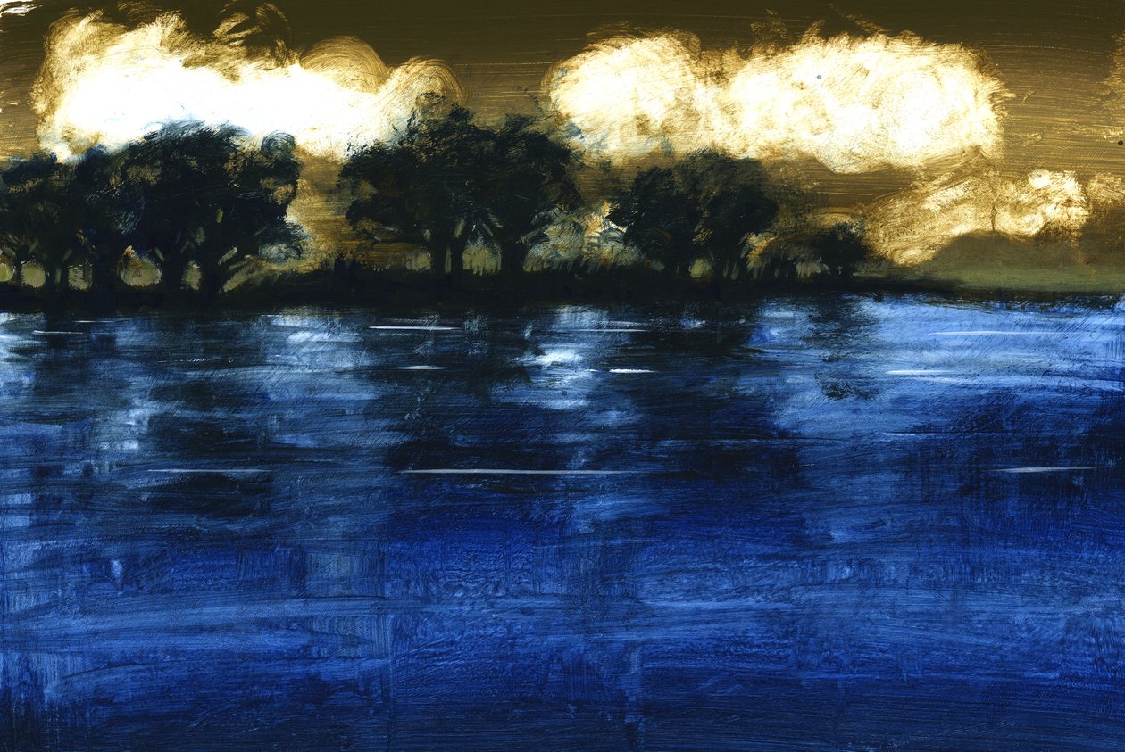 Flood, 2009 (akryyli aluksella) tekijältä Paul Powis