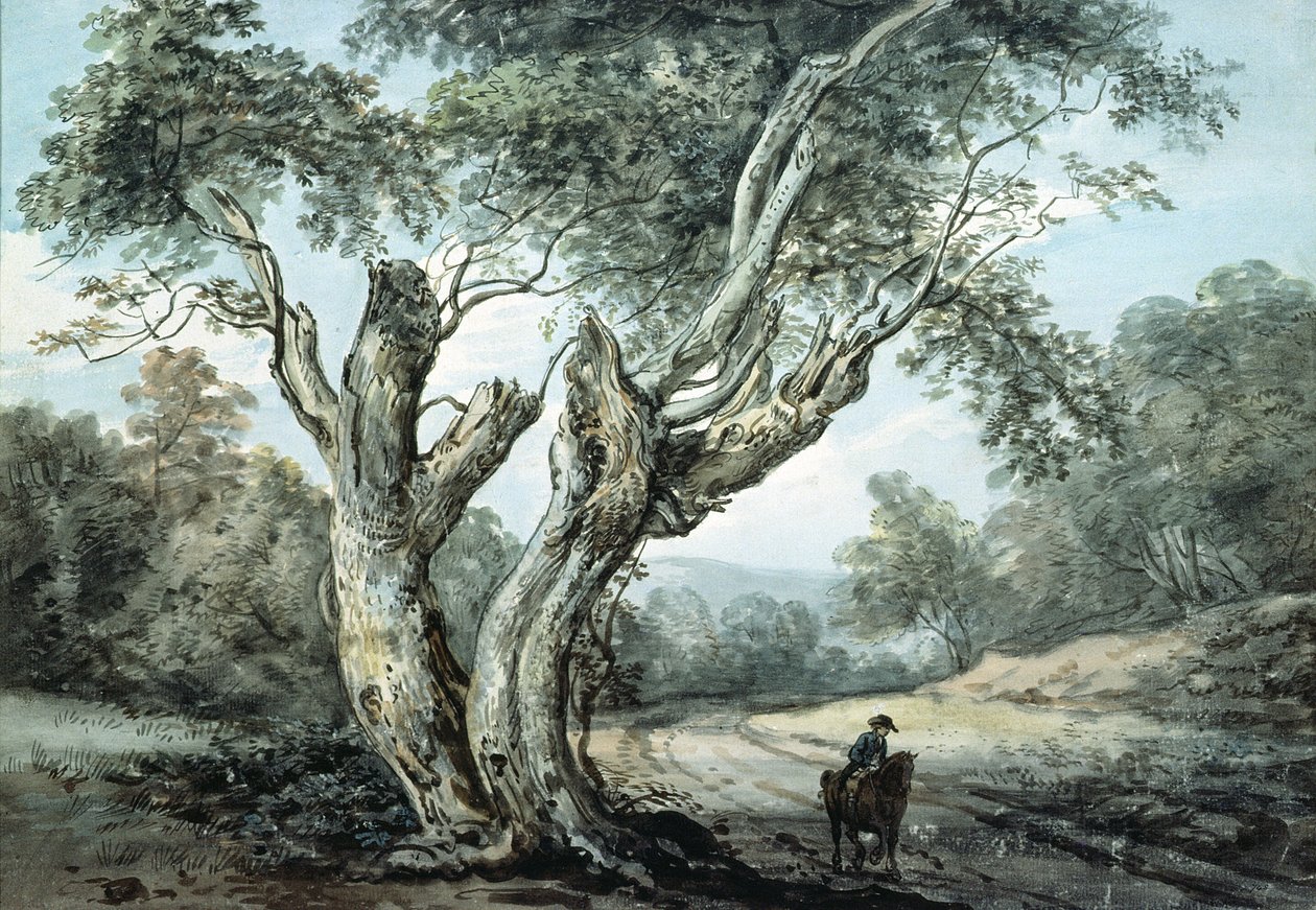 Tie Windsorin metsän läpi (akvarelli) tekijältä Paul Sandby