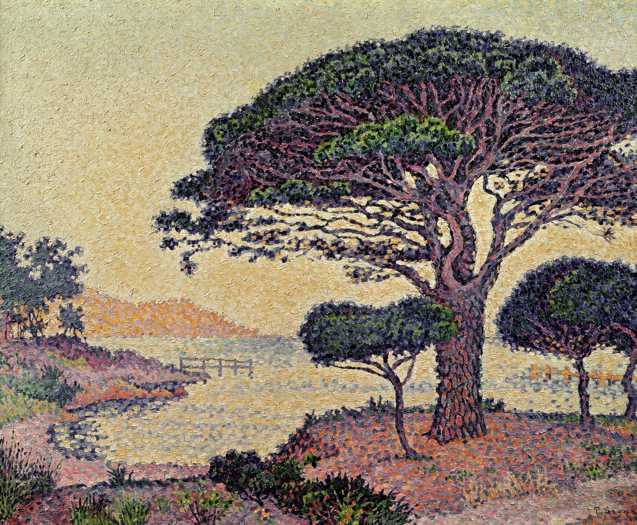 Umbrella Pines at Caroubiers, 1898 tekijältä Paul Signac