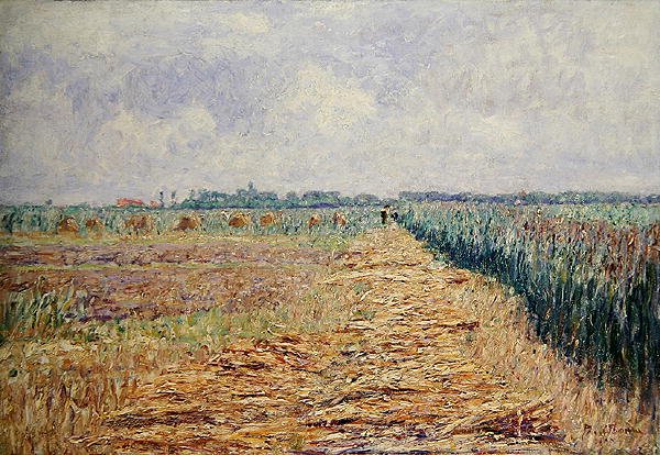 Tasainen hollantilainen maisema kesätaivaan alla kirkkaiden valkoisten pilvien alla, n. 1890 (öljy kankaalle) tekijältä Paul Baum