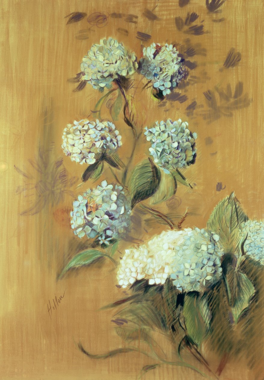 Hortensiat (pastelli paperille) tekijältä Paul Cesar Helleu