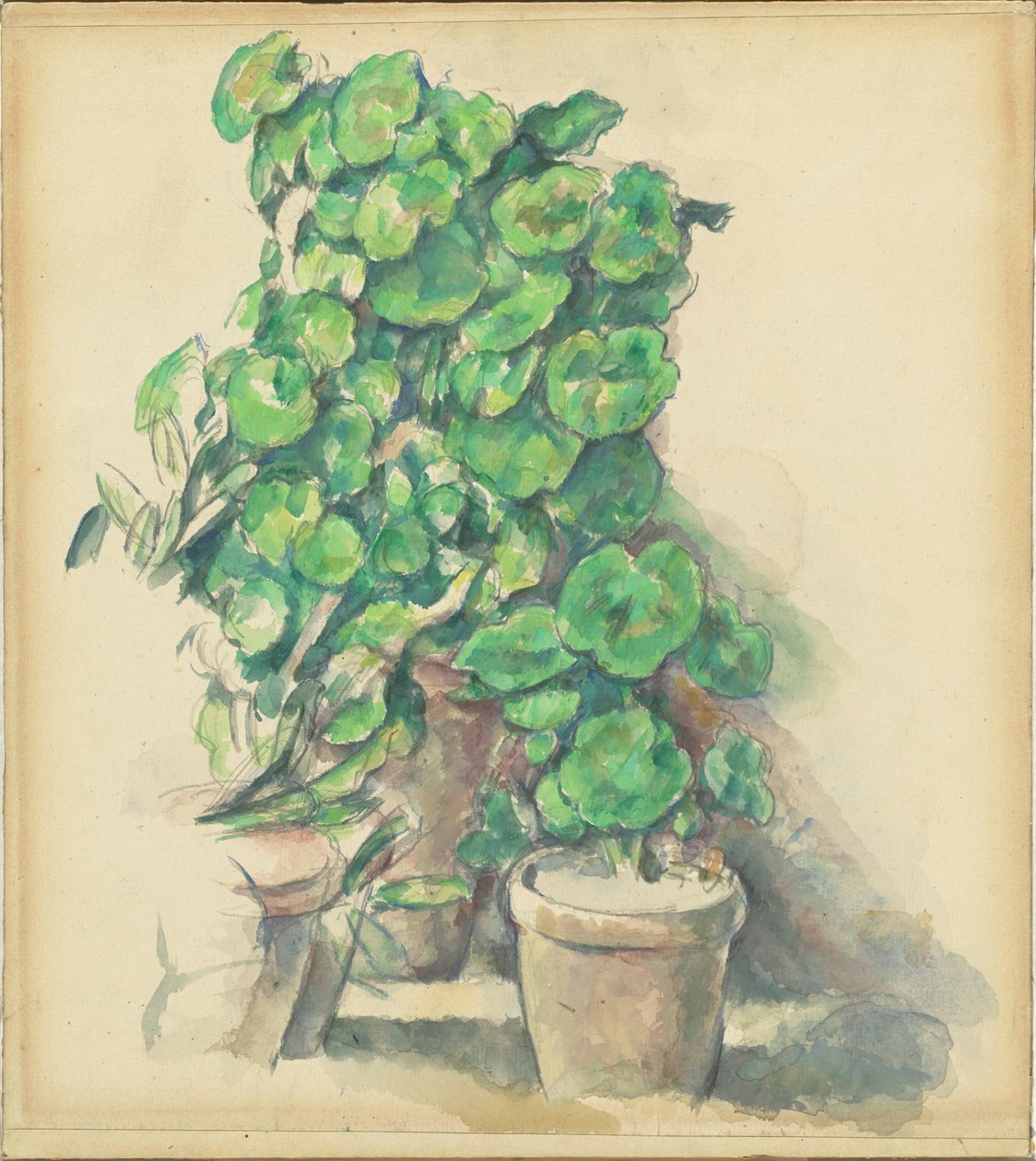 Pelargonit tekijältä Paul Cézanne