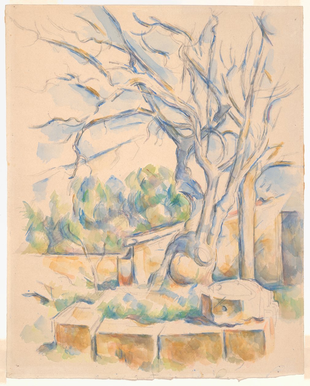 Pistaasipuu Château Noirissa tekijältä Paul Cézanne