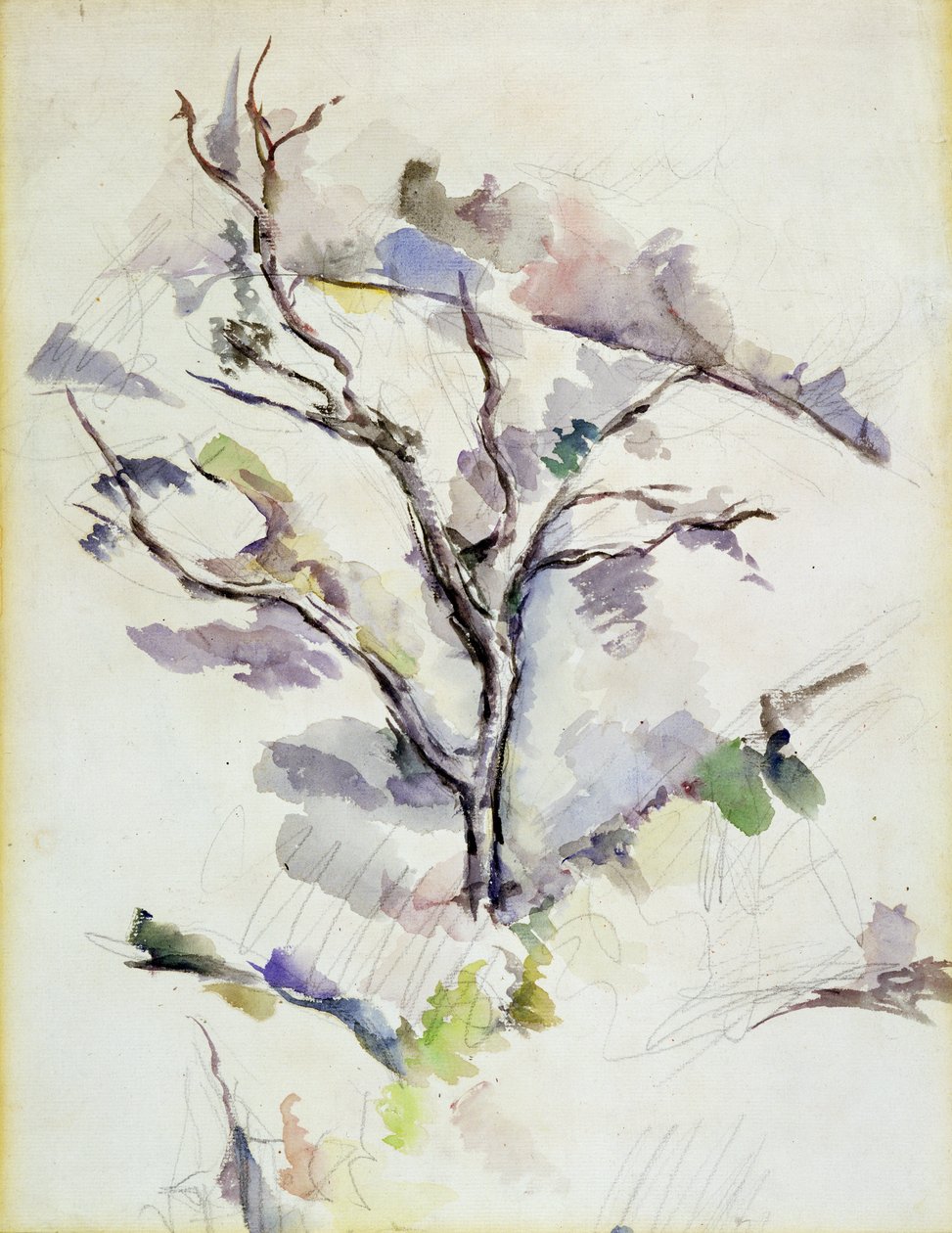 Tammi tekijältä Paul Cézanne