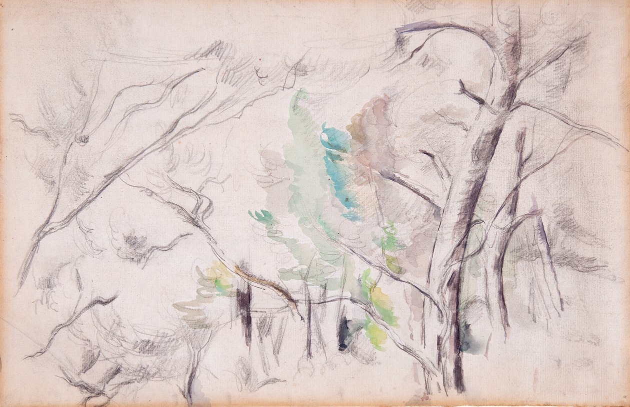 Puut [suoraan]; Encagnane Pilon du Roin kanssa [takaisin] tekijältä Paul Cézanne