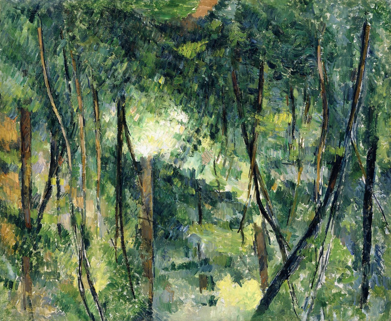 Aluskasvillisuus, n. 1885 tekijältä Paul Cézanne