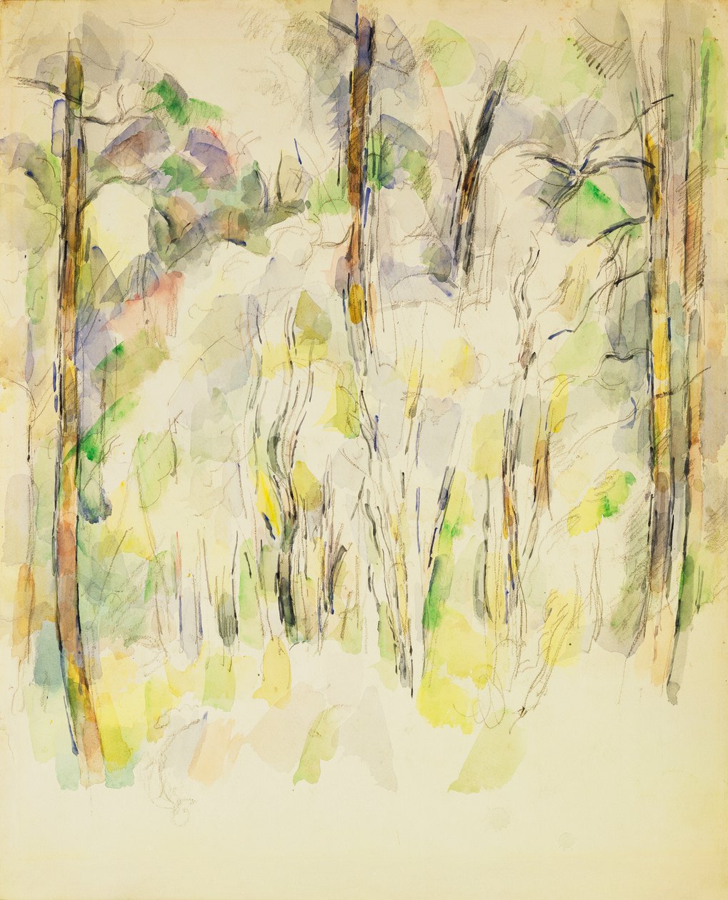 Woodland Scene, noin 1900-1904 tekijältä Paul Cézanne