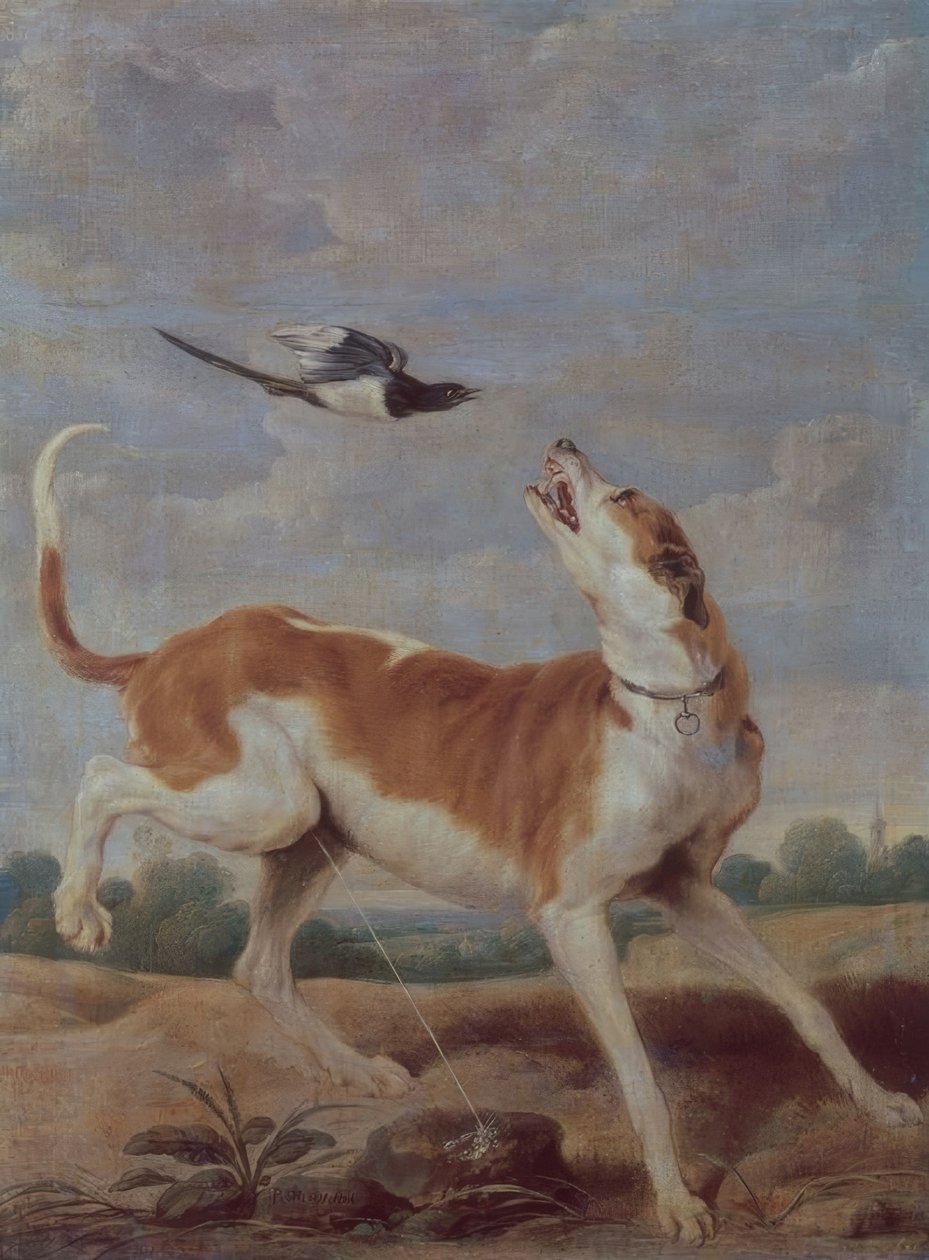 El perro y la picaza, 1600-luku, Öljy kankaalle, 115 cm x 83 cm, P01868 tekijältä Paul De Vos