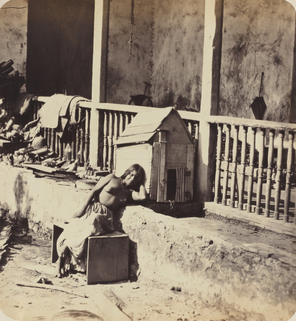 Garvelin koira (Martinique) tekijältä Paul Emile Miot