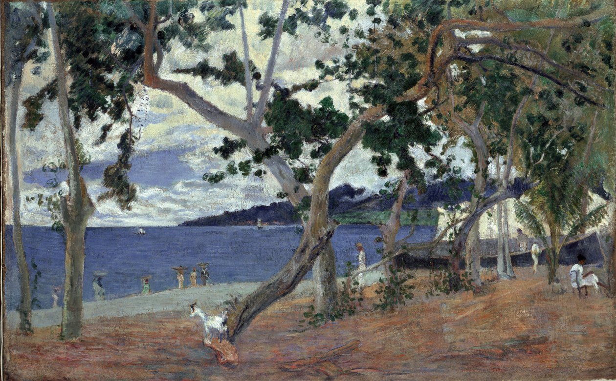 Meren rannalla, Martinique par Gauguin, Paul Eugene Henri (1848-1903). Öljy kankaalle, koko: 54x90 tekijältä Paul Gauguin