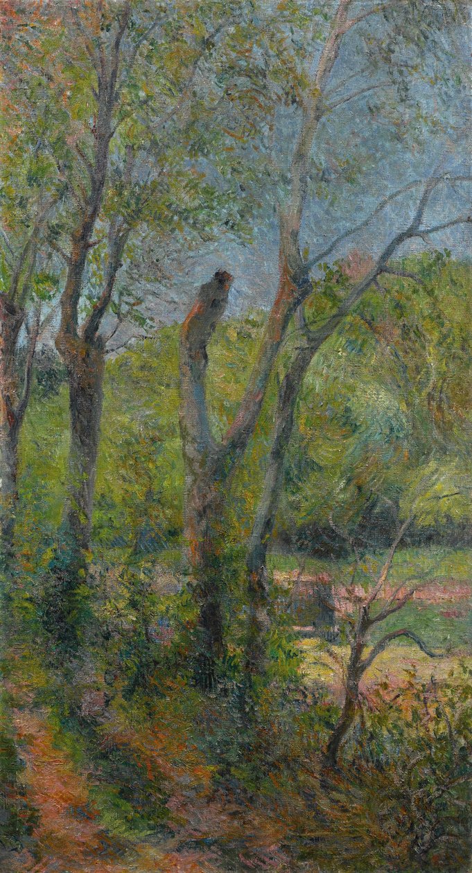 Ranskalainen:  Les Saules Willows tekijältä Paul Gauguin