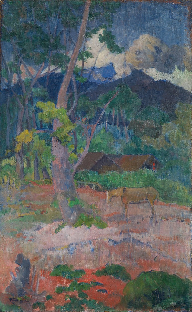 Paisatge amb un cavall finlandès tekijältä Paul Gauguin