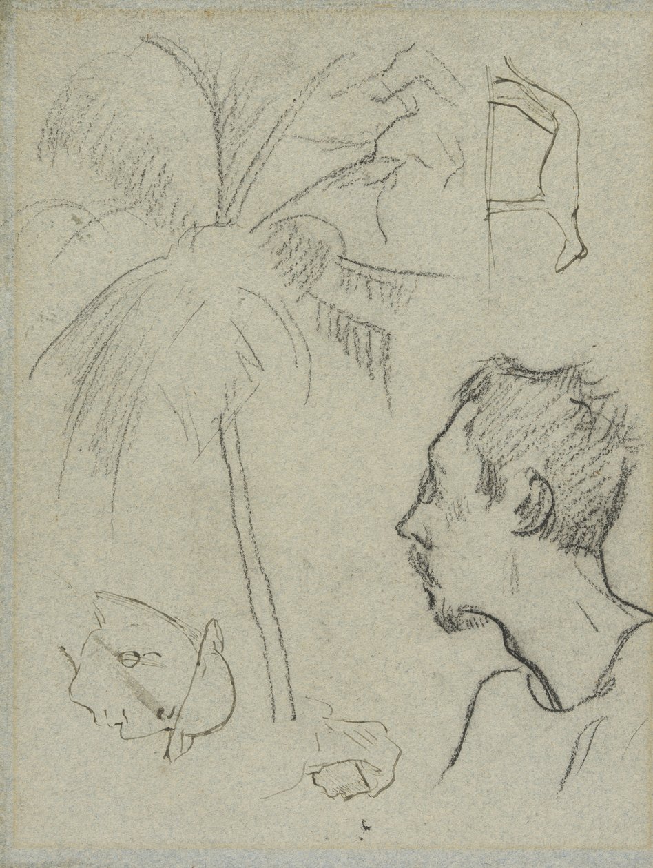 Charles Lavalin profiili palmuilla ja muilla luonnoksilla tekijältä Paul Gauguin