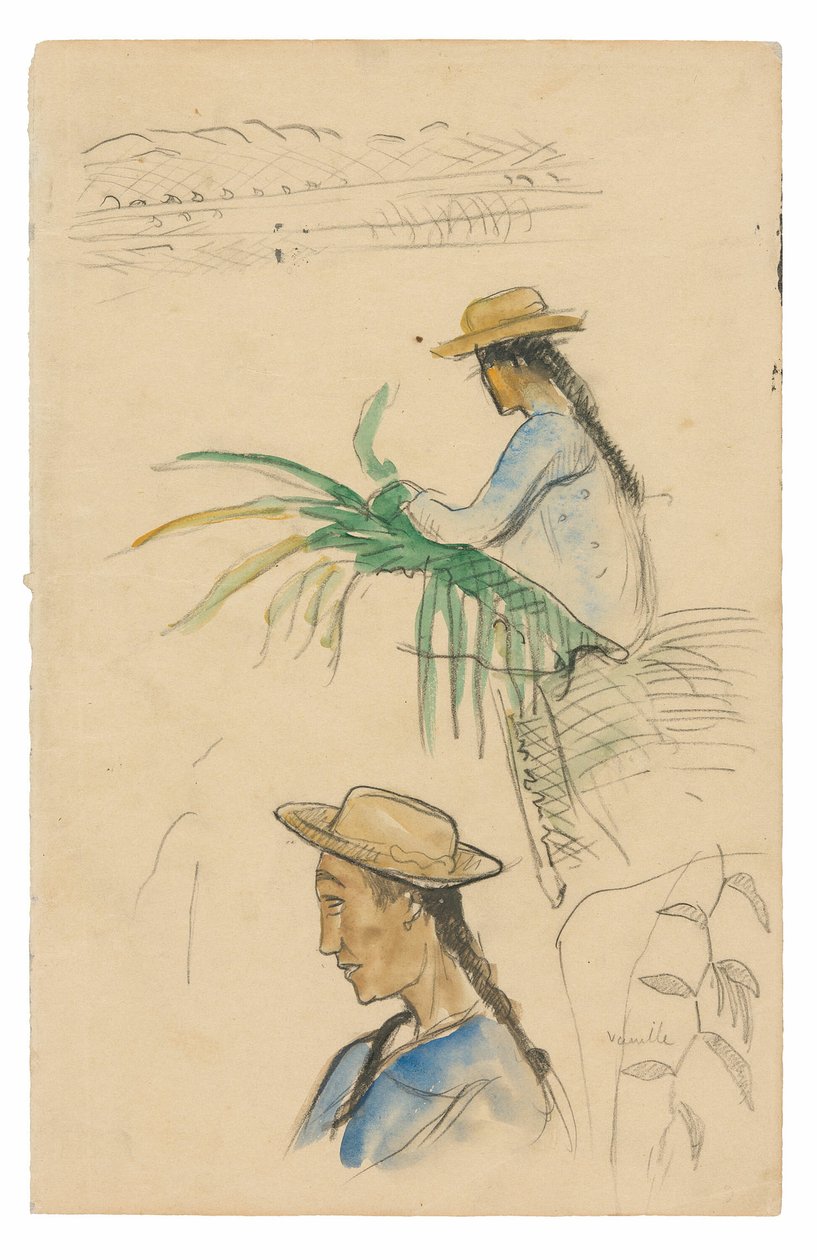 Luonnokset hahmoista, Pandanuksen lehdestä ja vaniljakasvista tekijältä Paul Gauguin