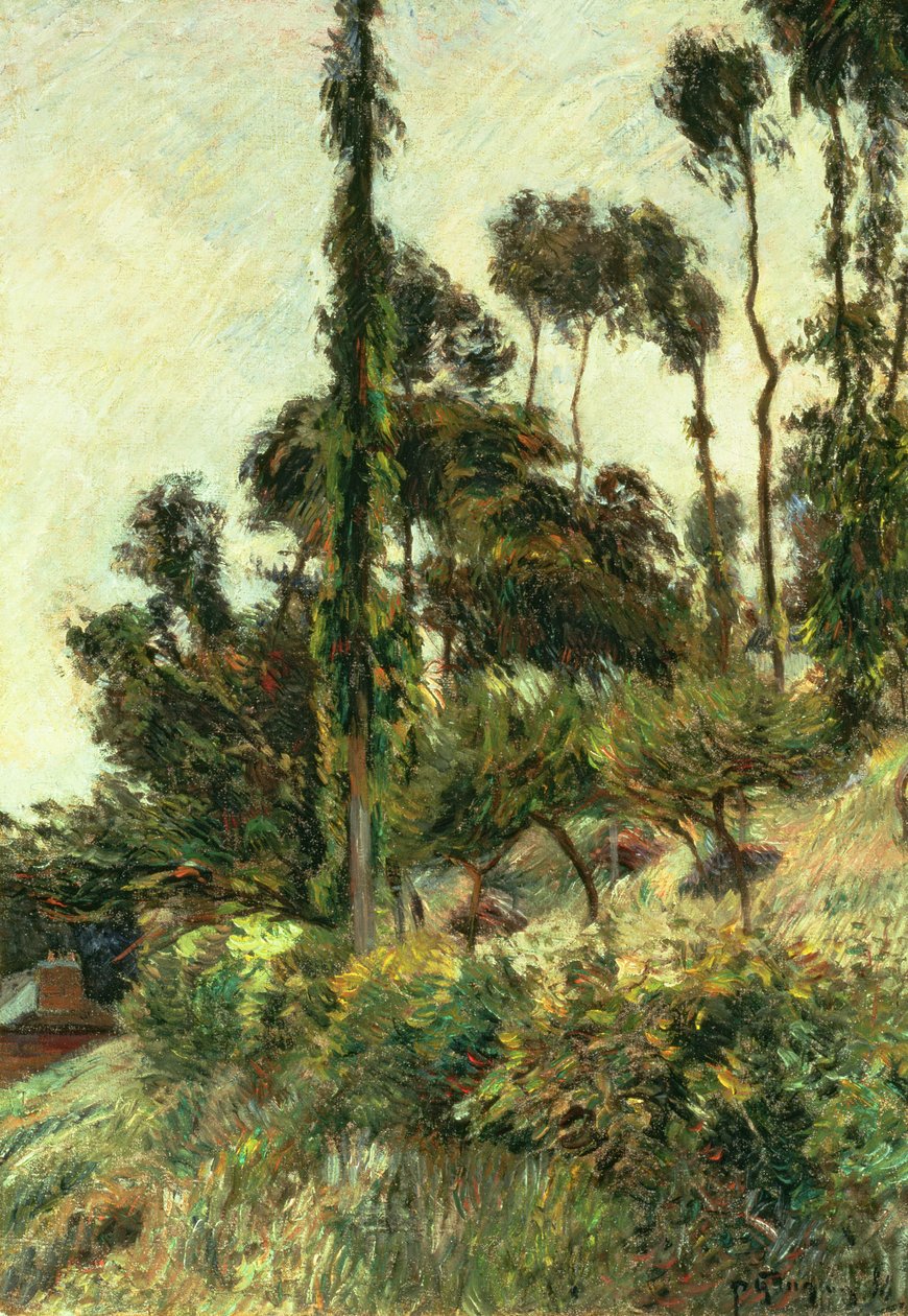 Kukkulan puoli, 1884 tekijältä Paul Gauguin