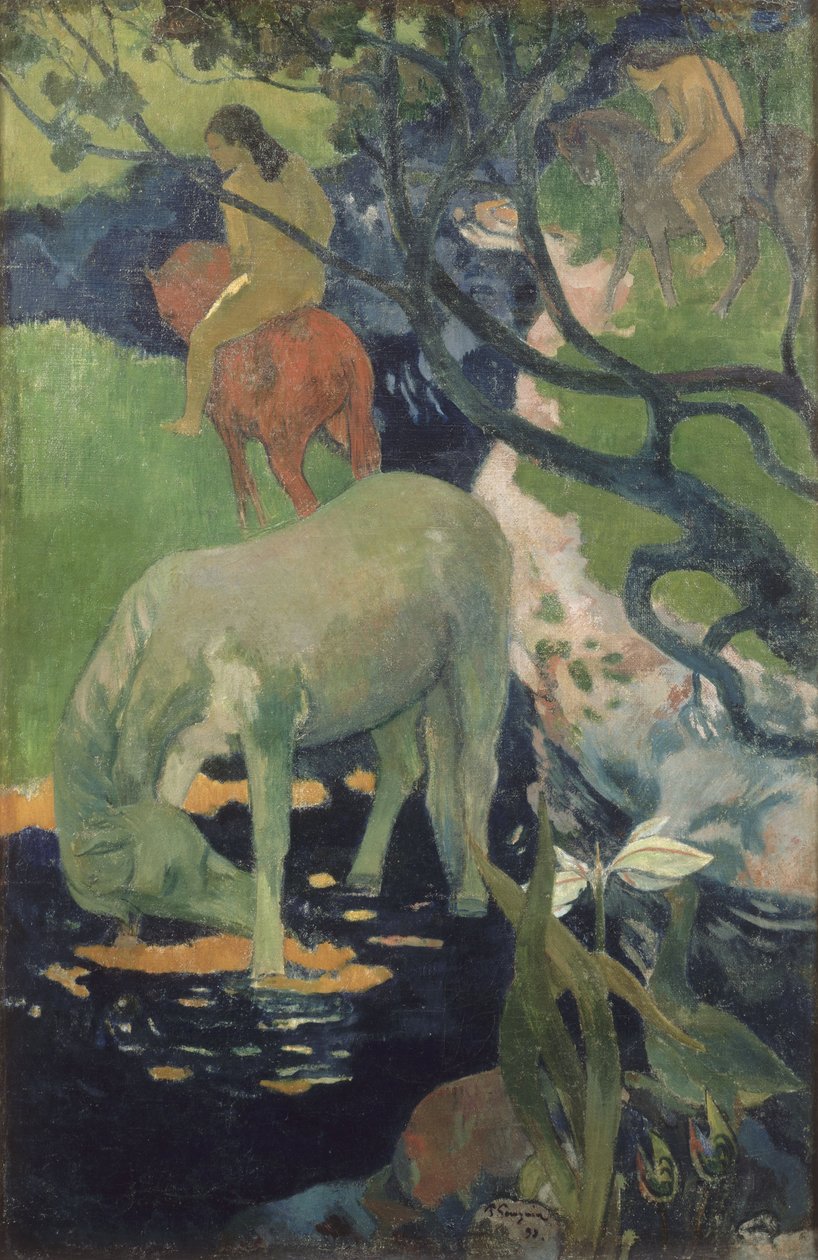 Valkoinen hevonen tekijältä Paul Gauguin