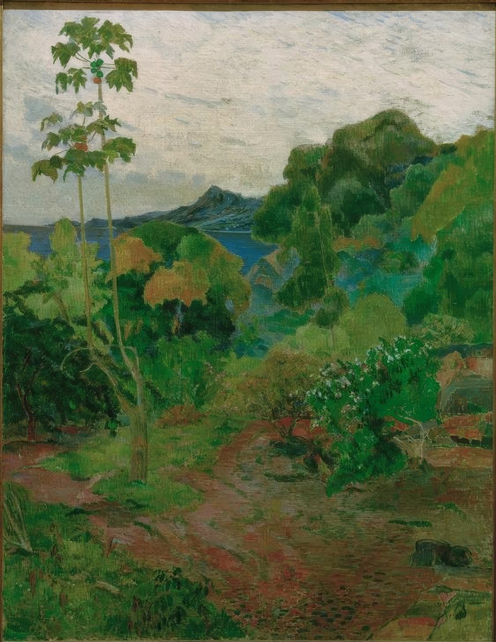 Tropische Landschaft tekijältä Paul Gauguin
