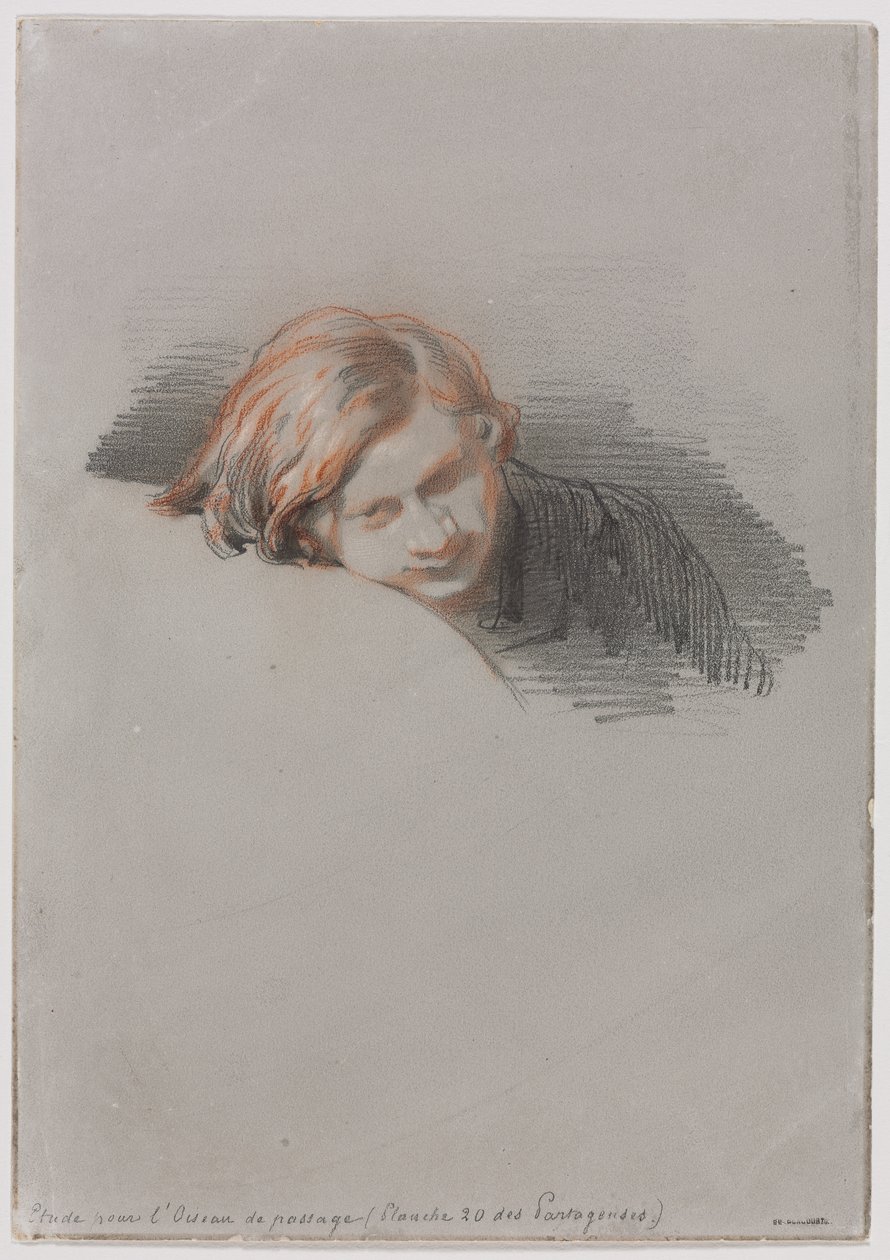 Nuoren miehen tutkimuksen johtaja LOiseau de passagelle, 1853. tekijältä Paul Gavarni
