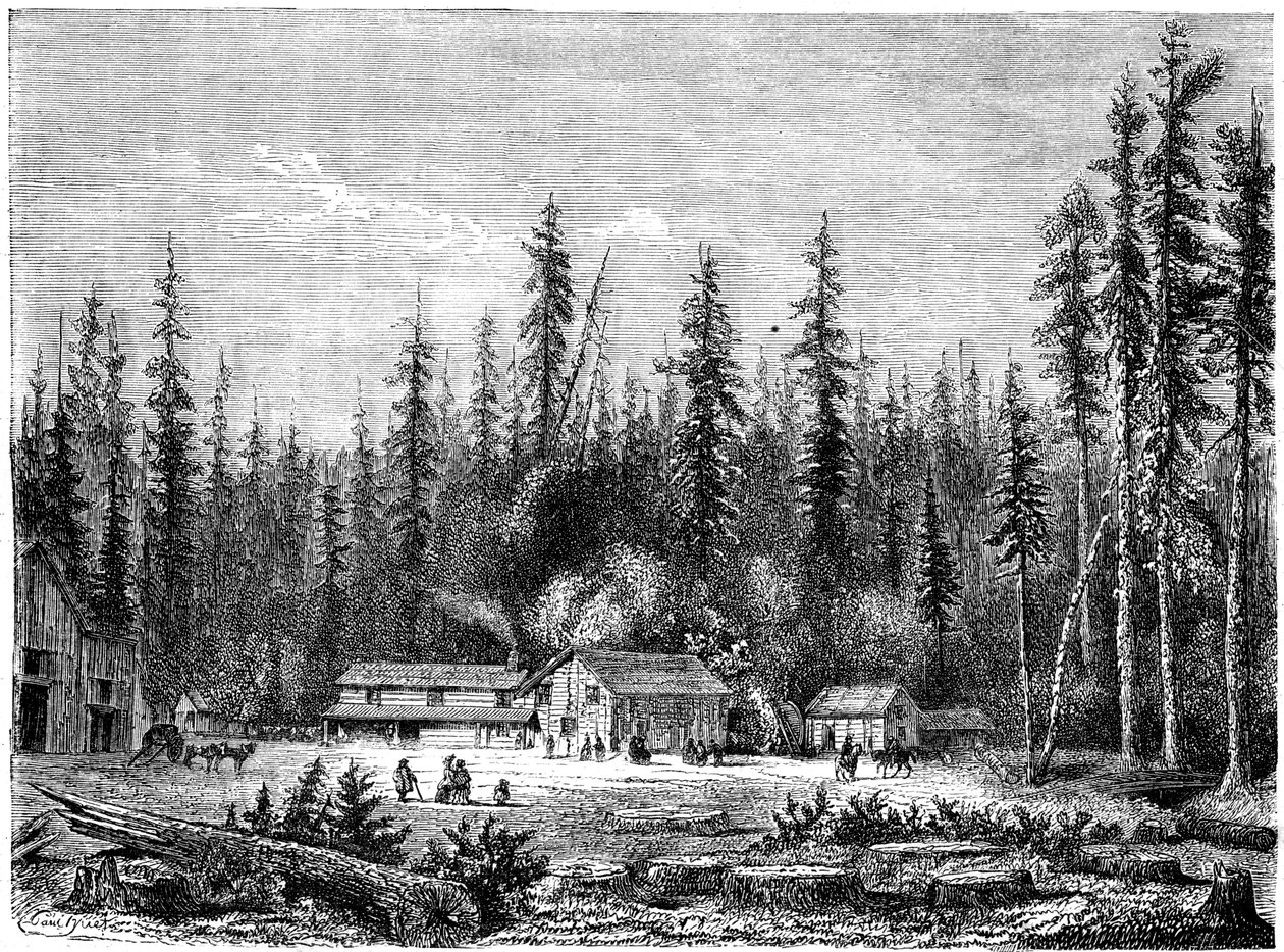 Jättimäinen sekvoiametsä, Kalifornia, 1800-luku. tekijältä Paul Huet