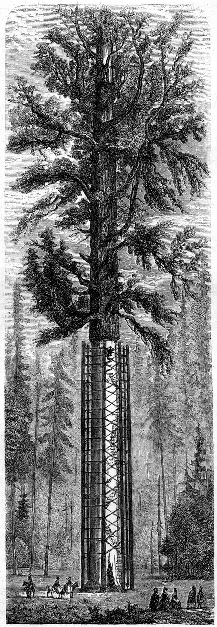 Yosemiten kansallispuisto, Kalifornia, 1800-luku. tekijältä Paul Huet