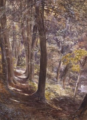 Metsämaiseman metsä tekijältä Paul Jacob Naftel