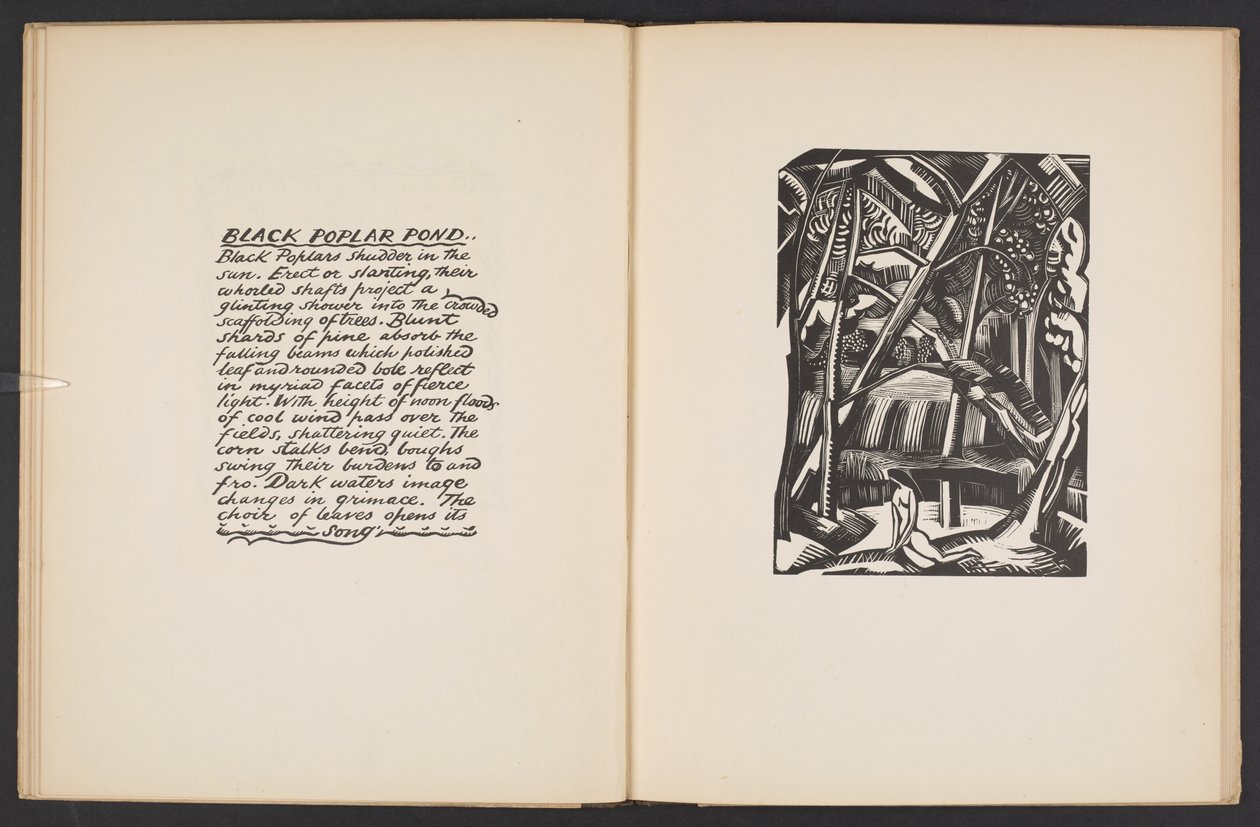 Black Poplar Pond, kuvitus kirjasta Places. Paul Nashin suunnittelemista ja kaiverretuista puupiirroksista jäljennetyt 7 vedosta ja kuvitukset proosassa". Lontoo, William Heinemann tekijältä Paul Nash