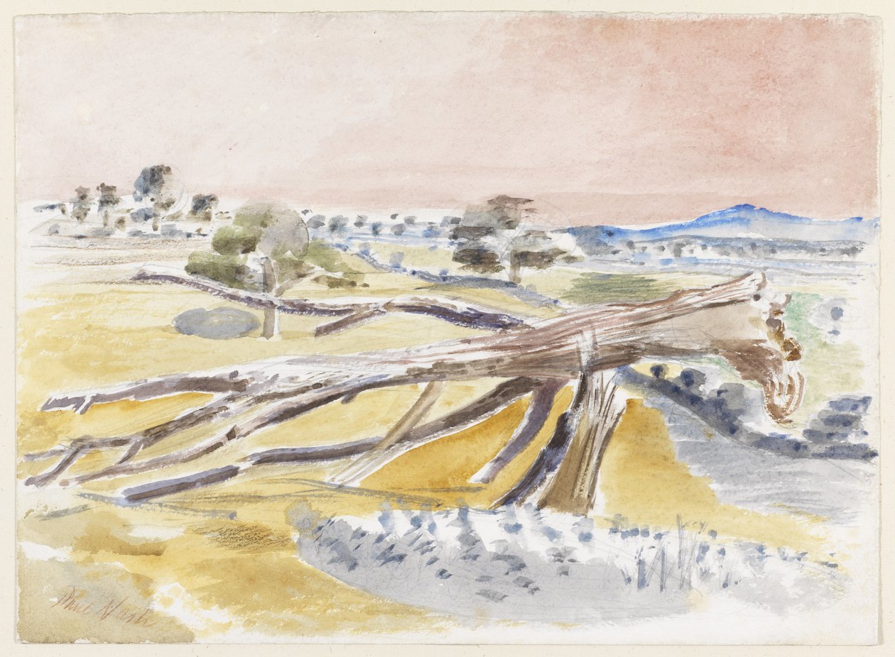 Monster Field, tutkimus II tekijältä Paul Nash