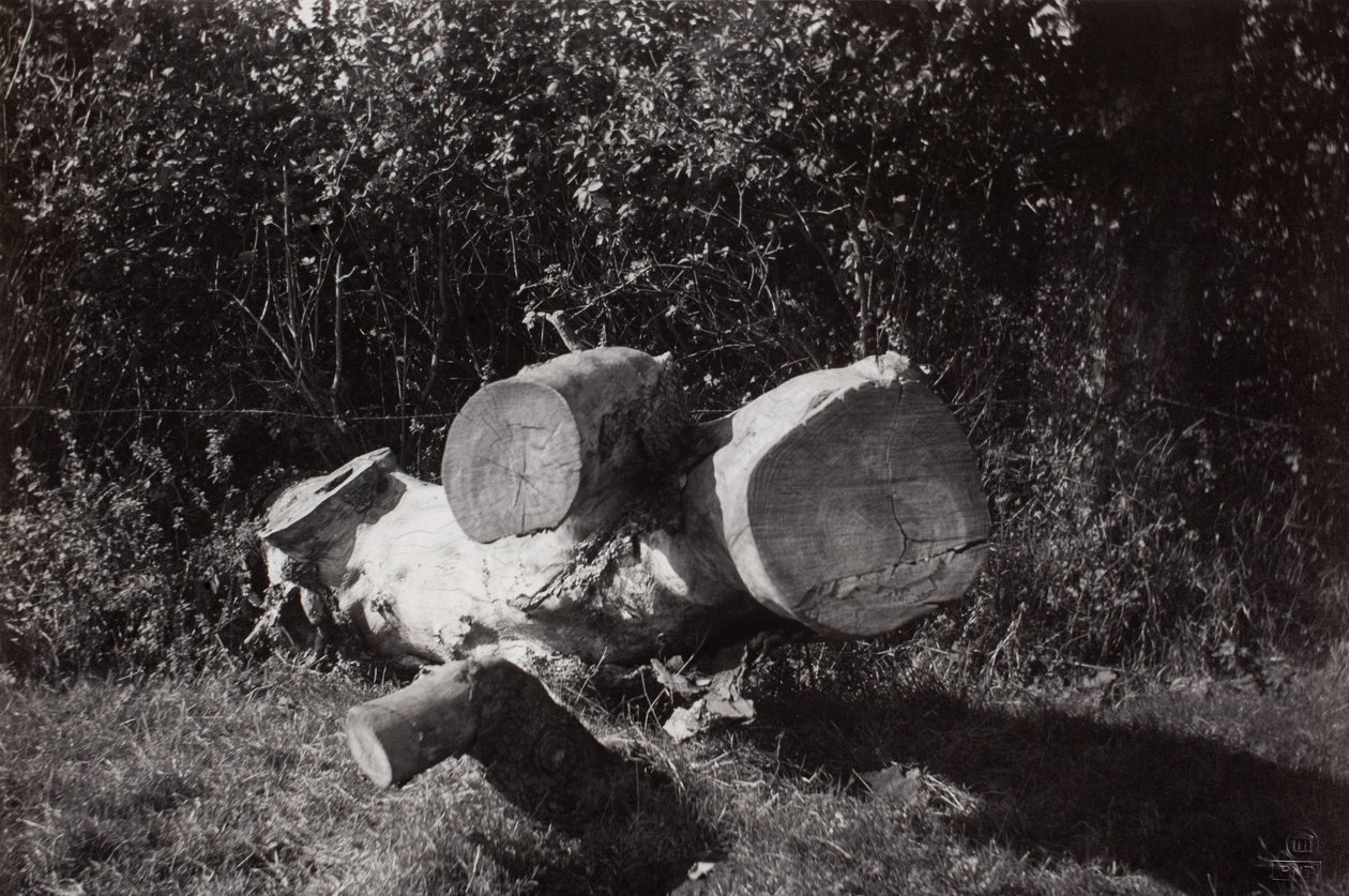 Kohteen etsiminen tekijältä Paul Nash