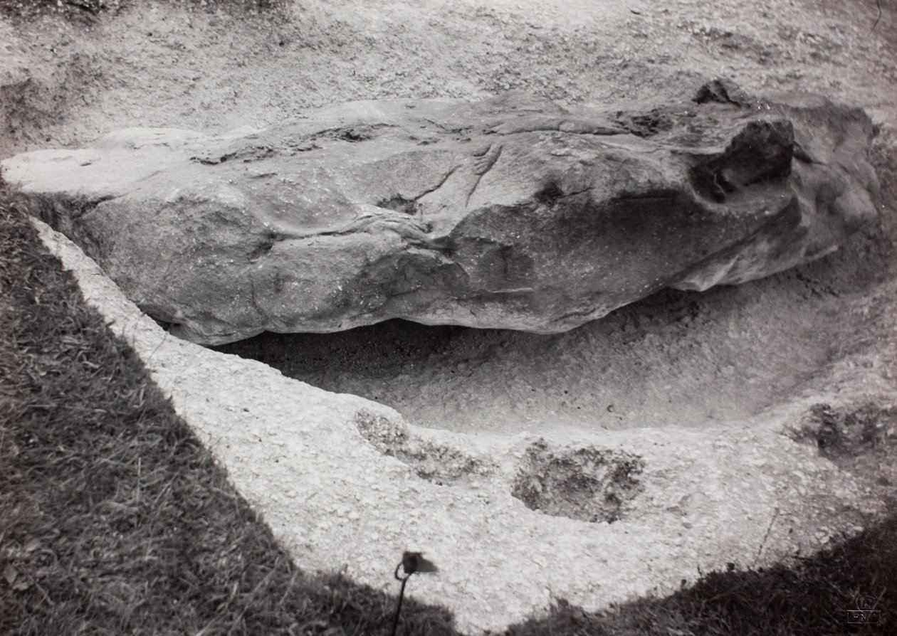 Kivi upotettu ruohoon tekijältä Paul Nash