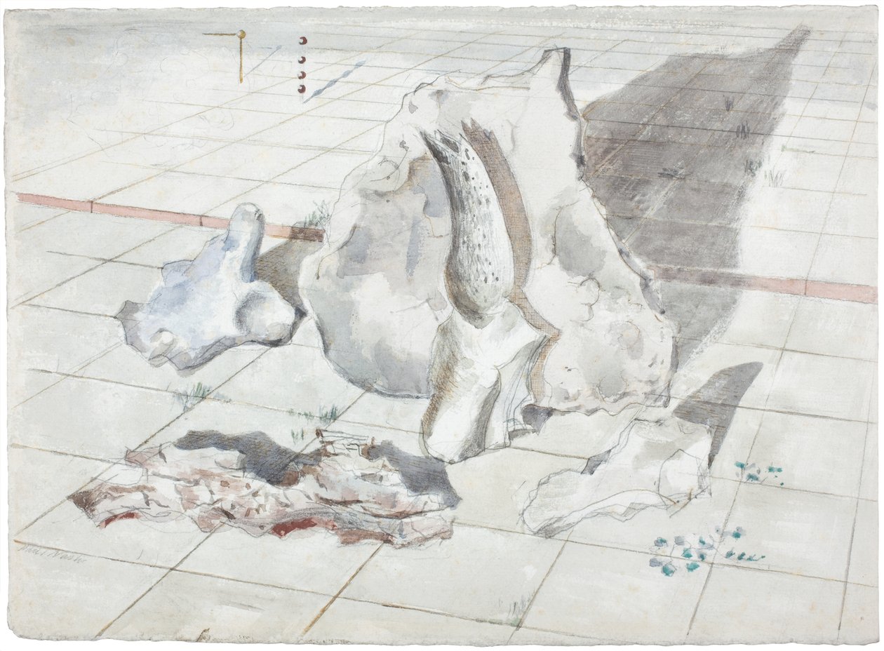 Tutkimus valkaistujen esineiden maisemaa varten tekijältä Paul Nash