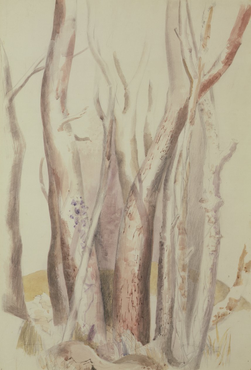 Metsäisen maiseman tutkimus tekijältä Paul Nash