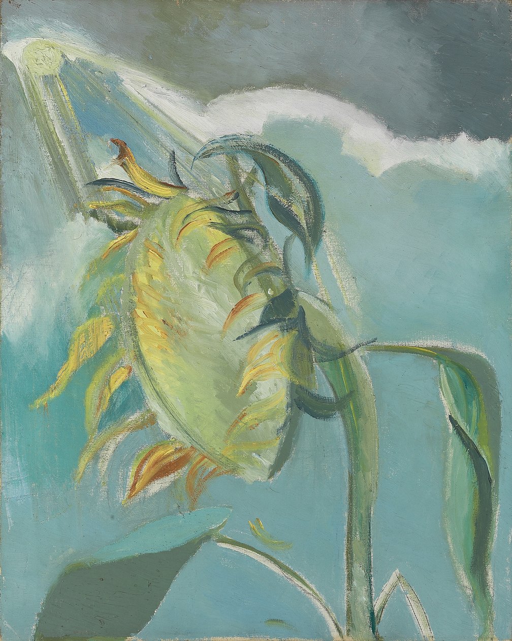 Auringonkukka ja aurinko, n. 1945 (öljy kankaalle) tekijältä Paul Nash