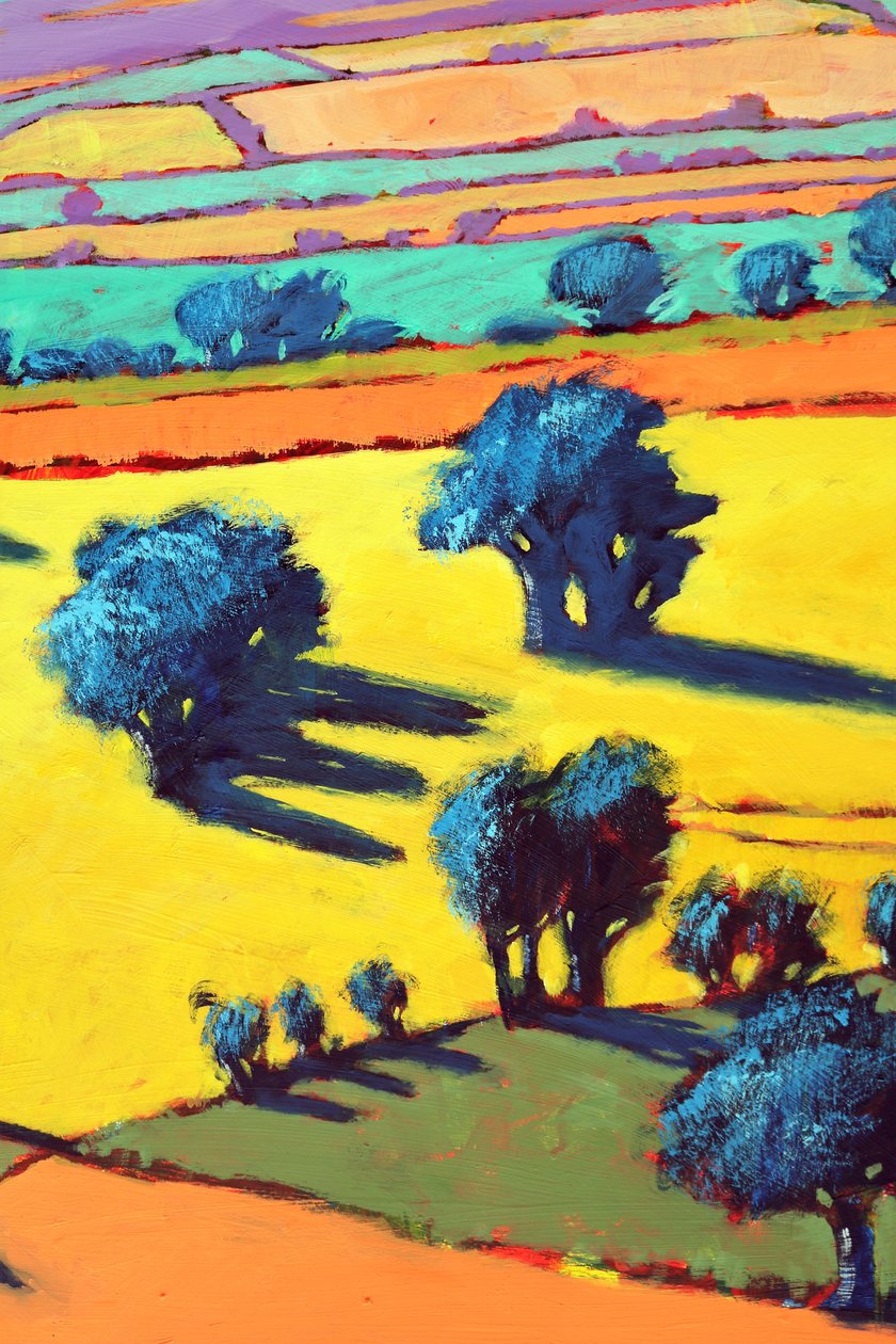 Cotswold Way lähikuva 2 (akryyli aluksella) tekijältä Paul Powis