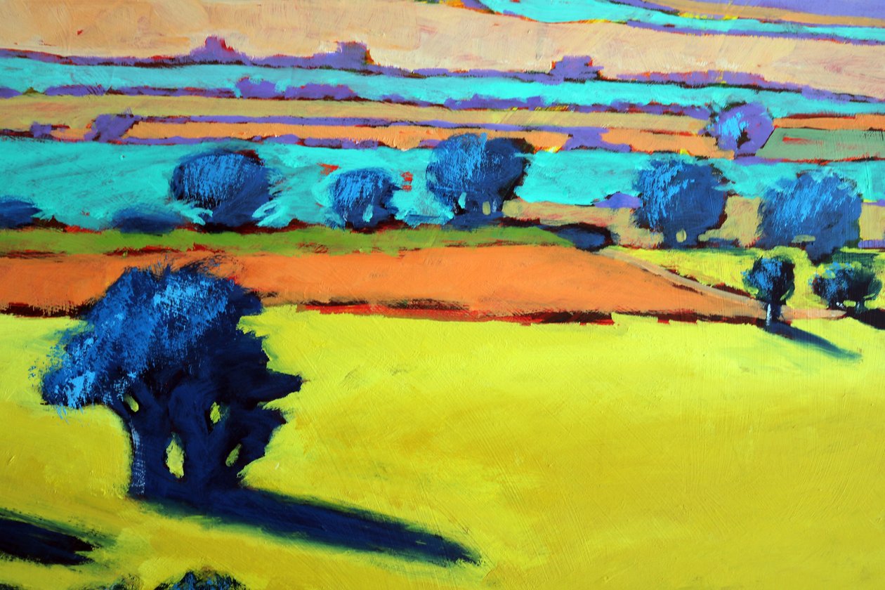 Cotswold Way lähikuva 9 (akryylia aluksella) tekijältä Paul Powis