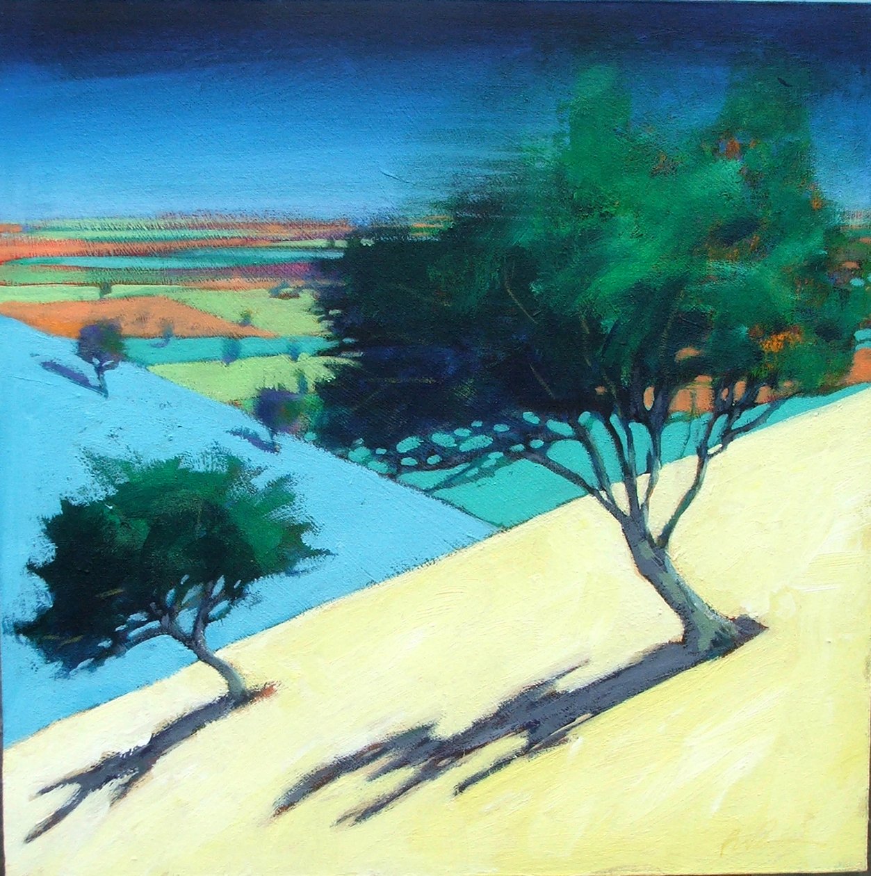 Hillside (akryyli kortilla) tekijältä Paul Powis