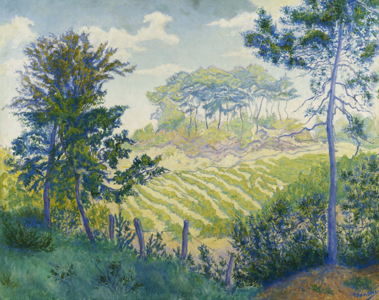 Viinitarhat mäntyjen alla; Viinitarhat mäntyjen alla, n. 1898 tekijältä Paul Elie Ranson