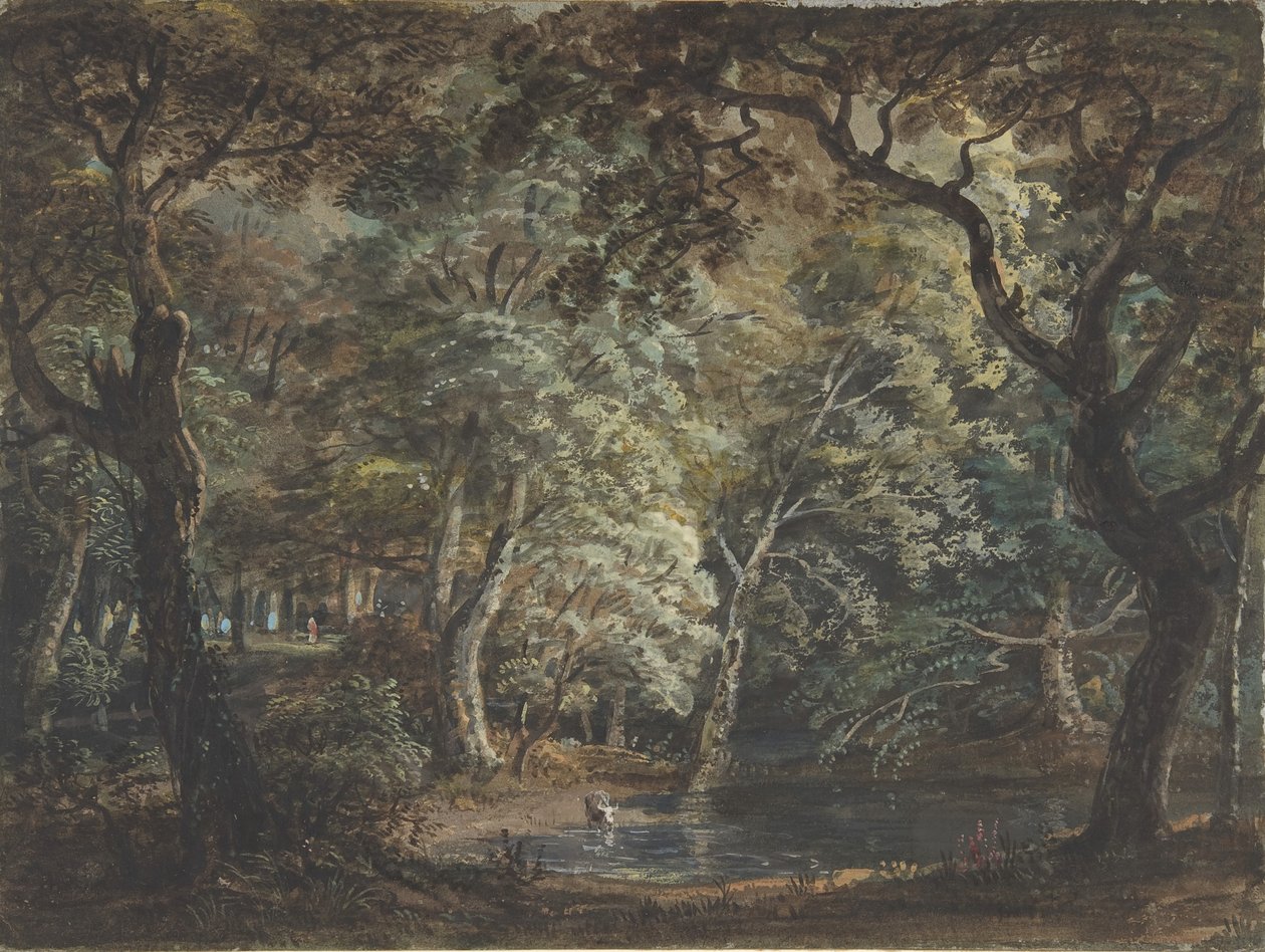 Windsor Great Park, 1790-1799. tekijältä Paul Sandby