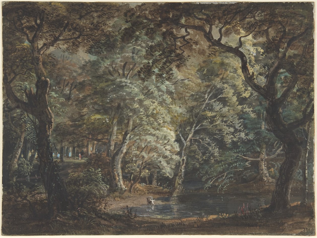 Windsorin suuri puisto, n.1790-99 (akvarelli). tekijältä Paul Sandby