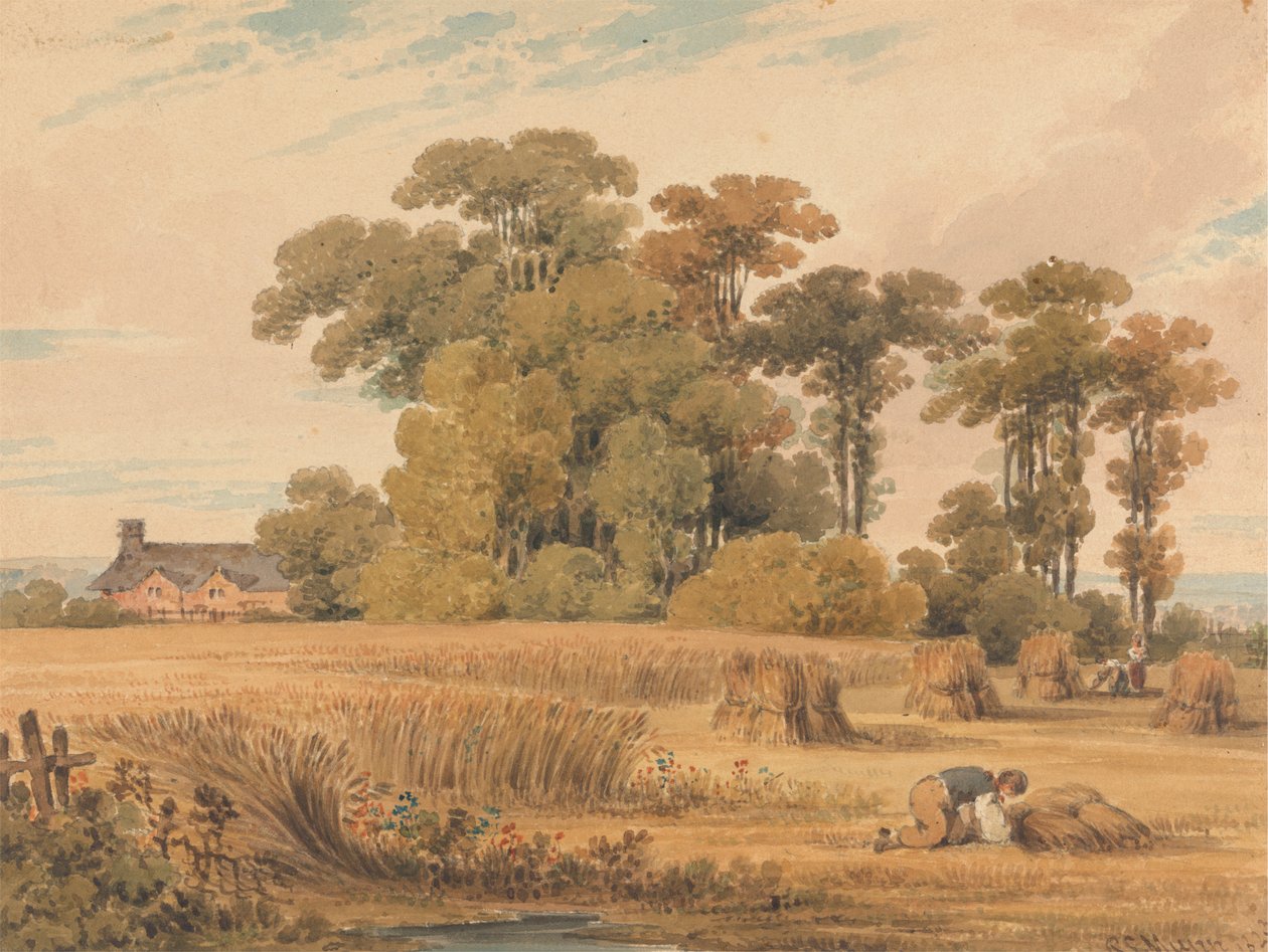 Maissipelto tekijältä Paul Sandby Munn
