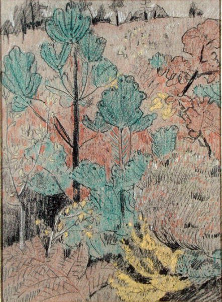 Aluskasvillisuus (hiili ja pastelli paperille) tekijältä Paul Sérusier