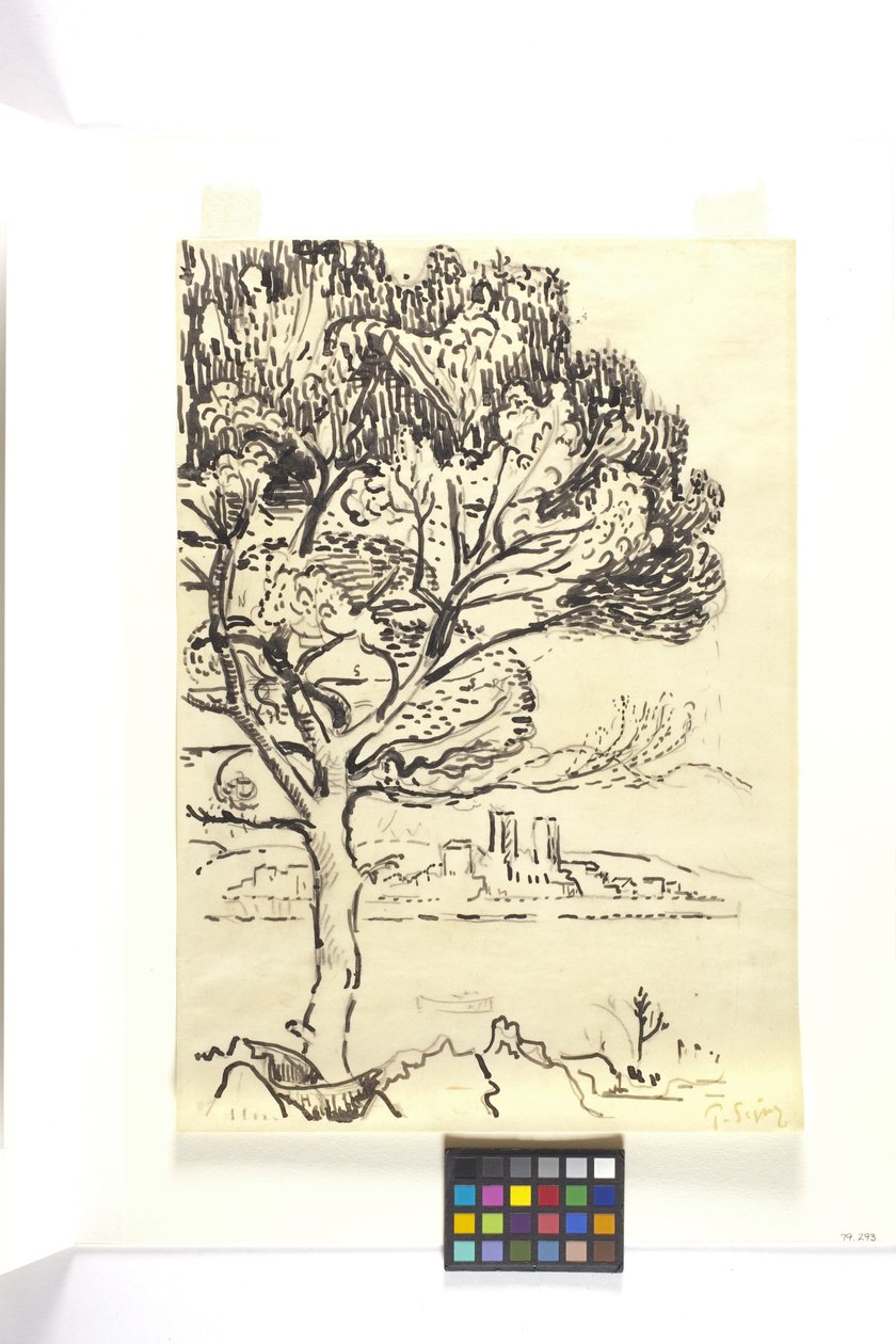 Antibes, Umbrella Pine In The Foreground (Antibes, Pin Pignon Au Premier Plan) (mustalla musteella piirros mustalla kynällä ruskean kudospaperille) tekijältä Paul Signac