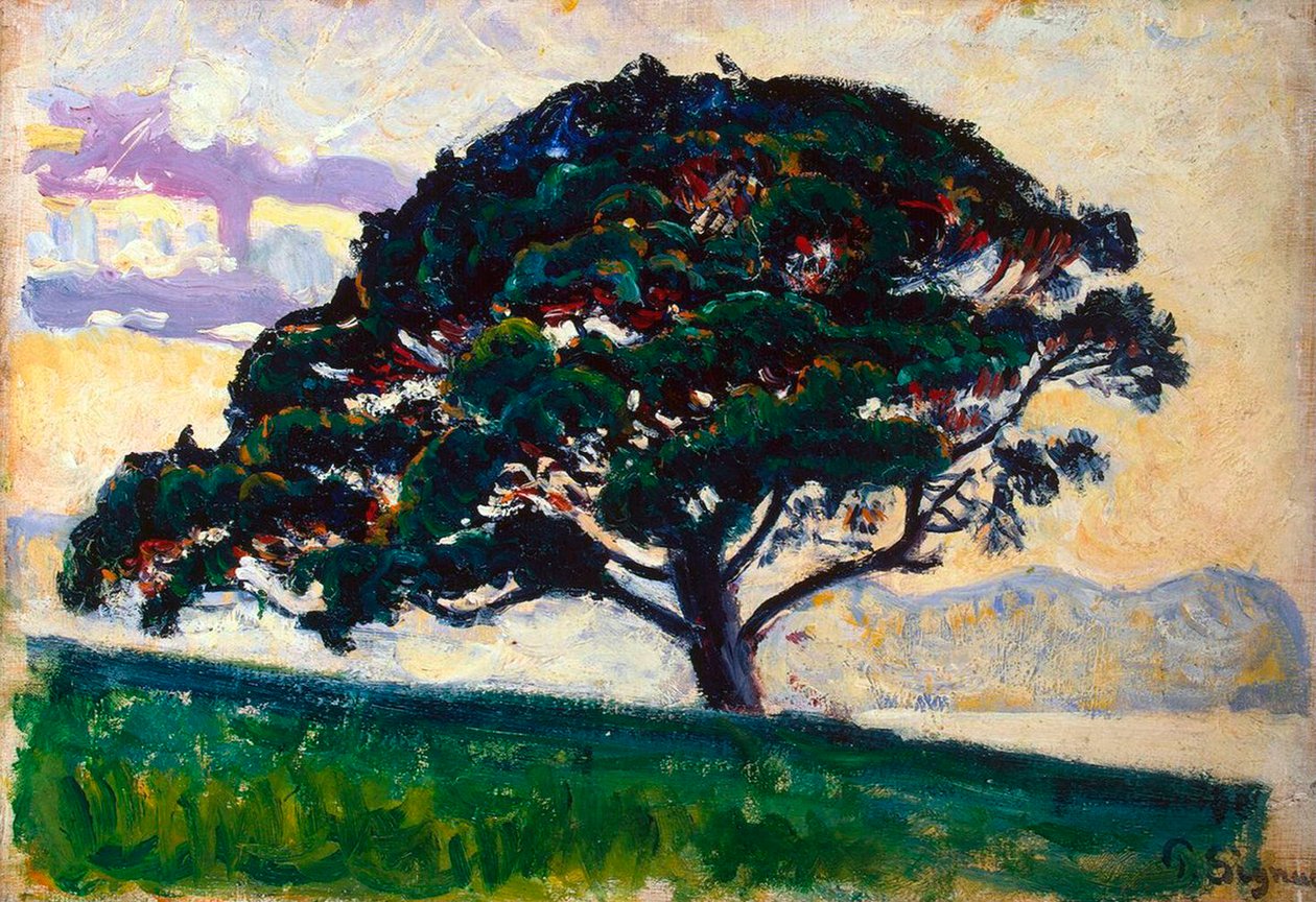 Suuri mänty, Saint-Tropez, 1892-1893. tekijältä Paul Signac